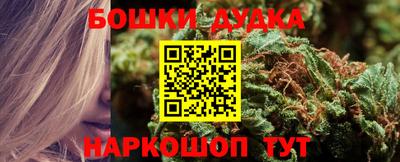 крисы Гагарин
