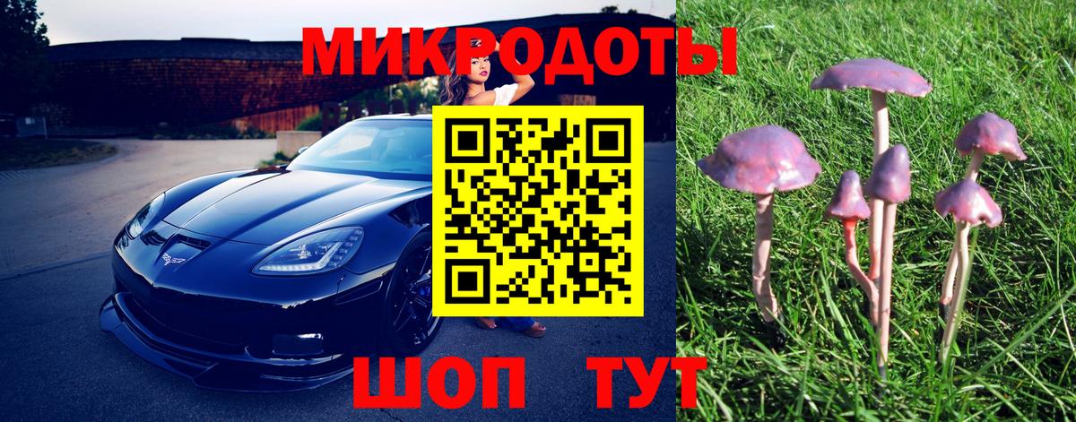 Псилоцибиновые грибы GOLDEN TEACHER Карасук